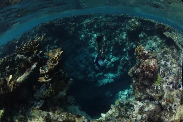救援紫色生物
