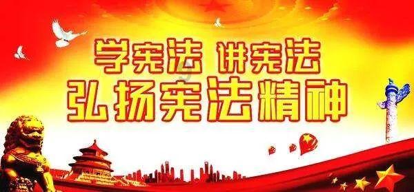 救援呆萌的猫